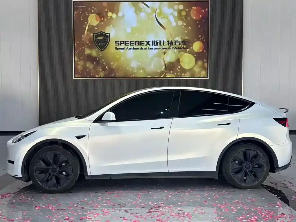 Tesla Model Y — фото 10