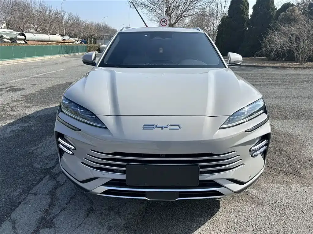 BYD PLUS New Energy — фото 1