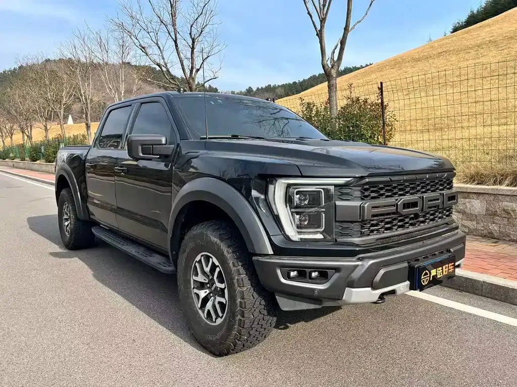 Ford F-150 Raptor 2023 из CN, фото 4