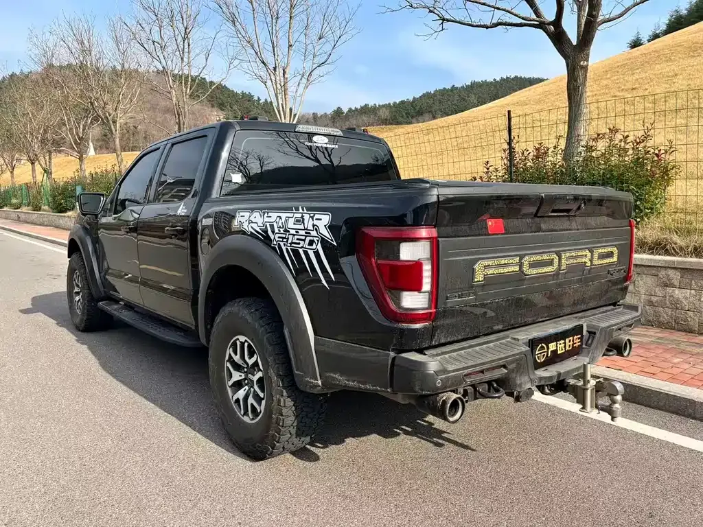 Ford F-150 Raptor 2023 из CN, фото 9
