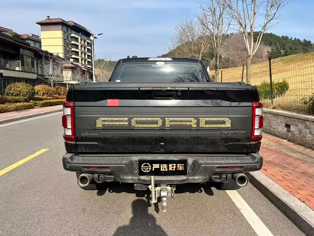 Ford F-150 Raptor 2023 из CN, фото 7