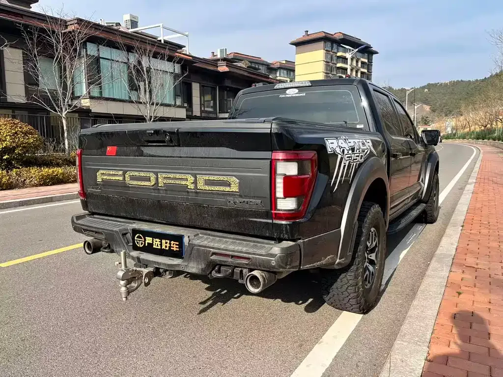 Ford F-150 Raptor 2023 из CN, фото 6