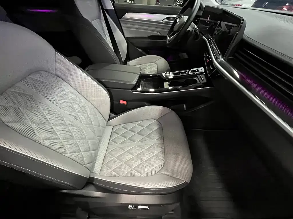Volkswagen Tavendor 2024 из CN, фото 7