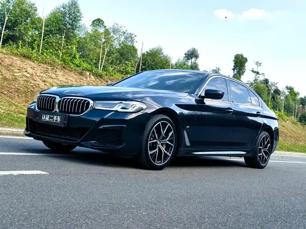BMW 5 Series 2021 из CN, фото 1