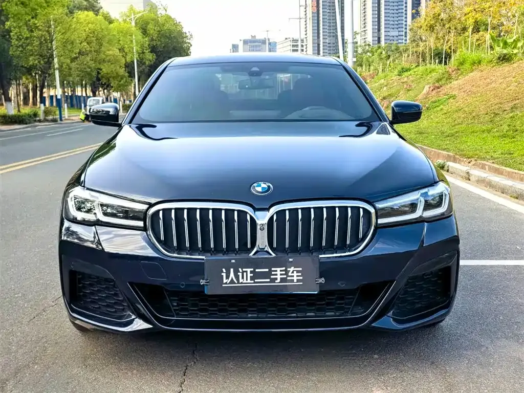 BMW 5 Series 2021 из CN, фото 6