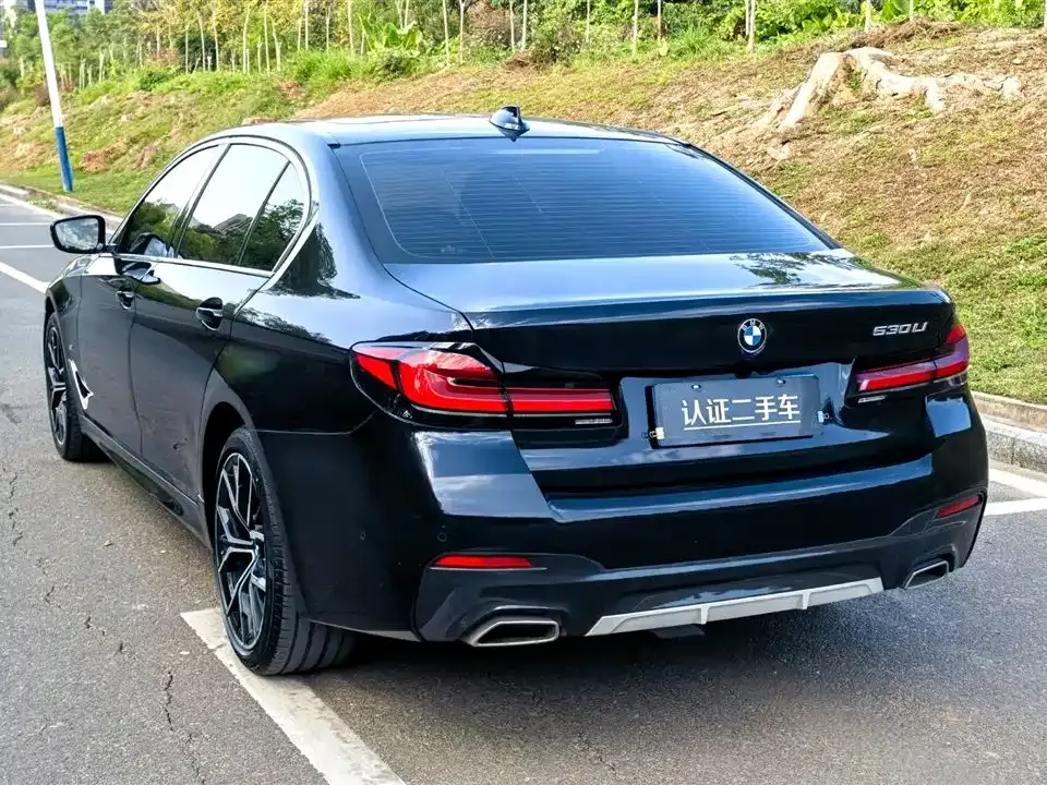 BMW 5 Series 2021 из CN, фото 10