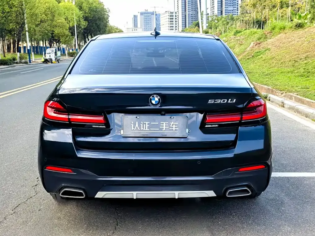 BMW 5 Series 2021 из CN, фото 4