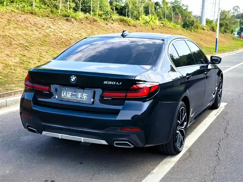 BMW 5 Series 2021 из CN, фото 7