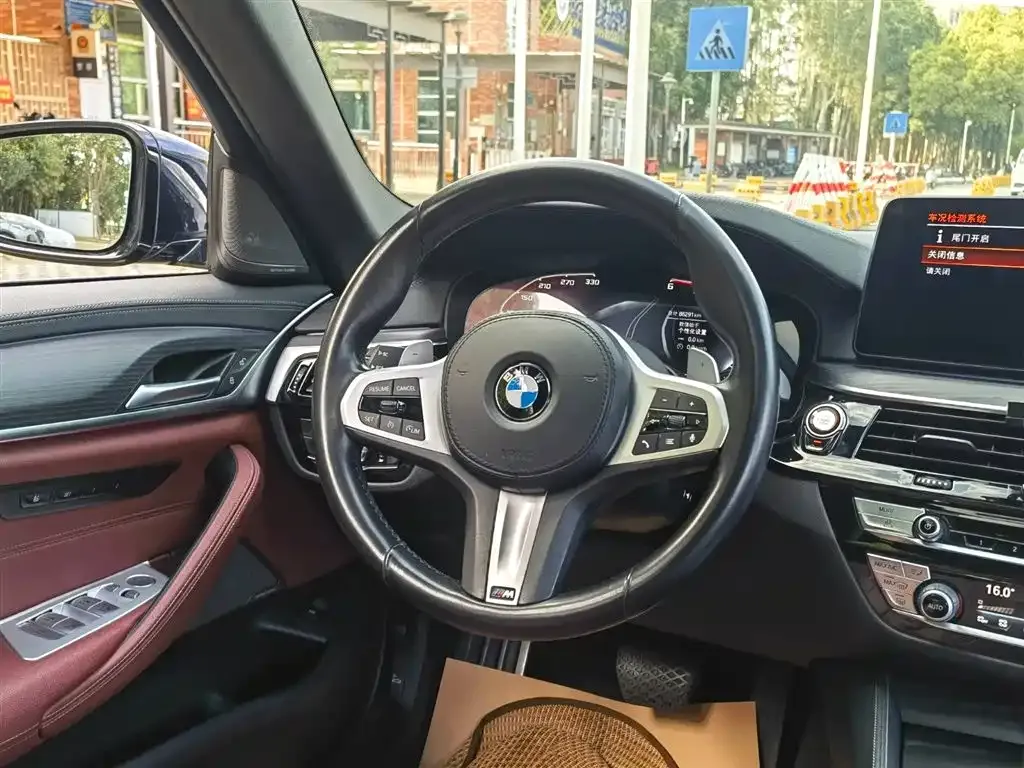 BMW 5 Series 2021 из CN, фото 2