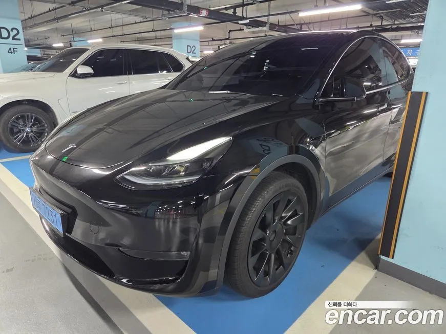 Tesla Model Y — фото 3