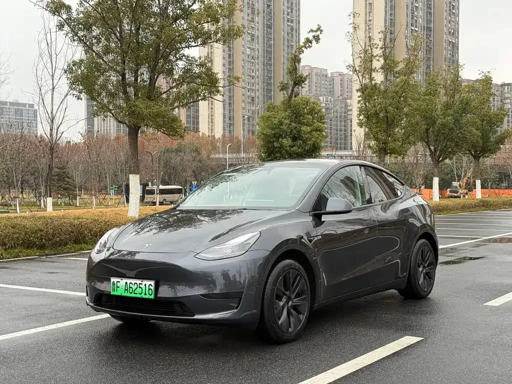 Tesla Model Y — фото 1