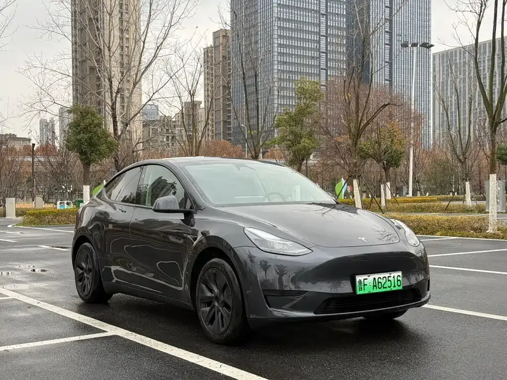 Tesla Model Y — фото 9