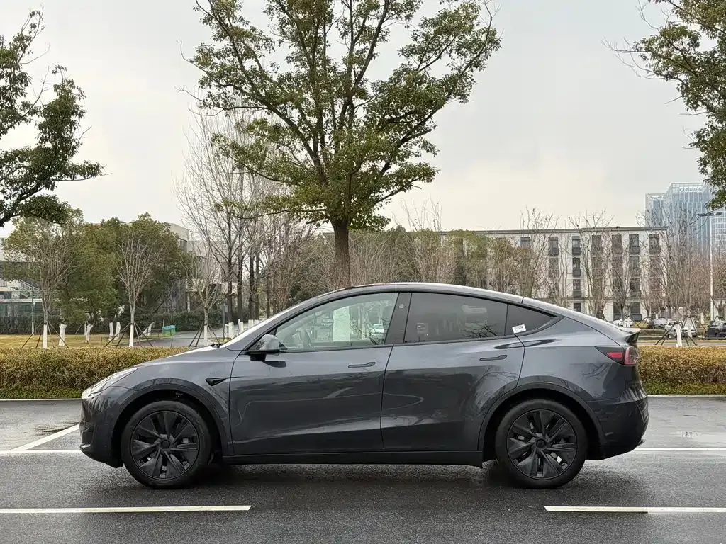 Tesla Model Y — фото 10