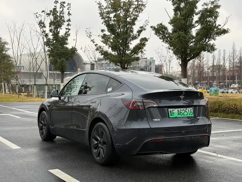 Tesla Model Y — фото 6