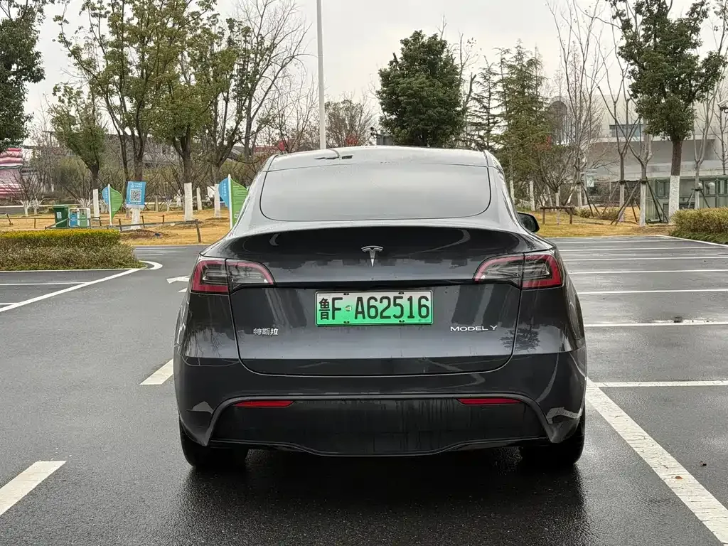 Tesla Model Y — фото 4