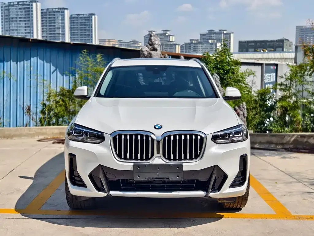 BMW X3 2023 из CN, фото 10