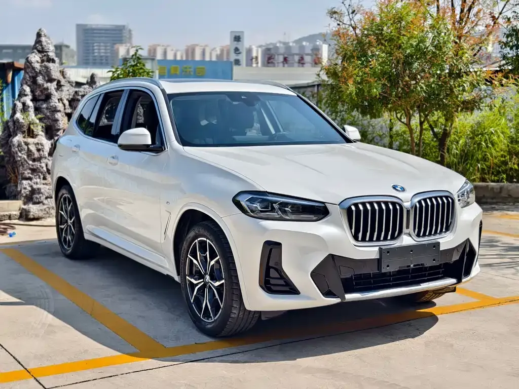 BMW X3 2023 из CN, фото 7