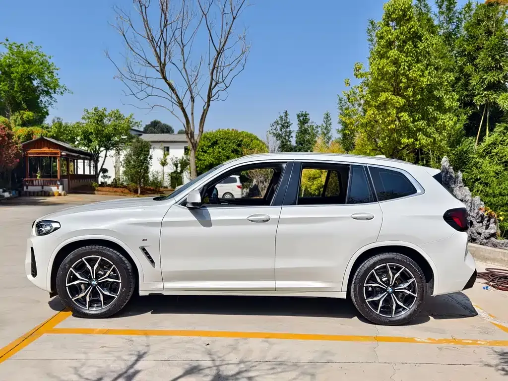 BMW X3 2023 из CN, фото 6