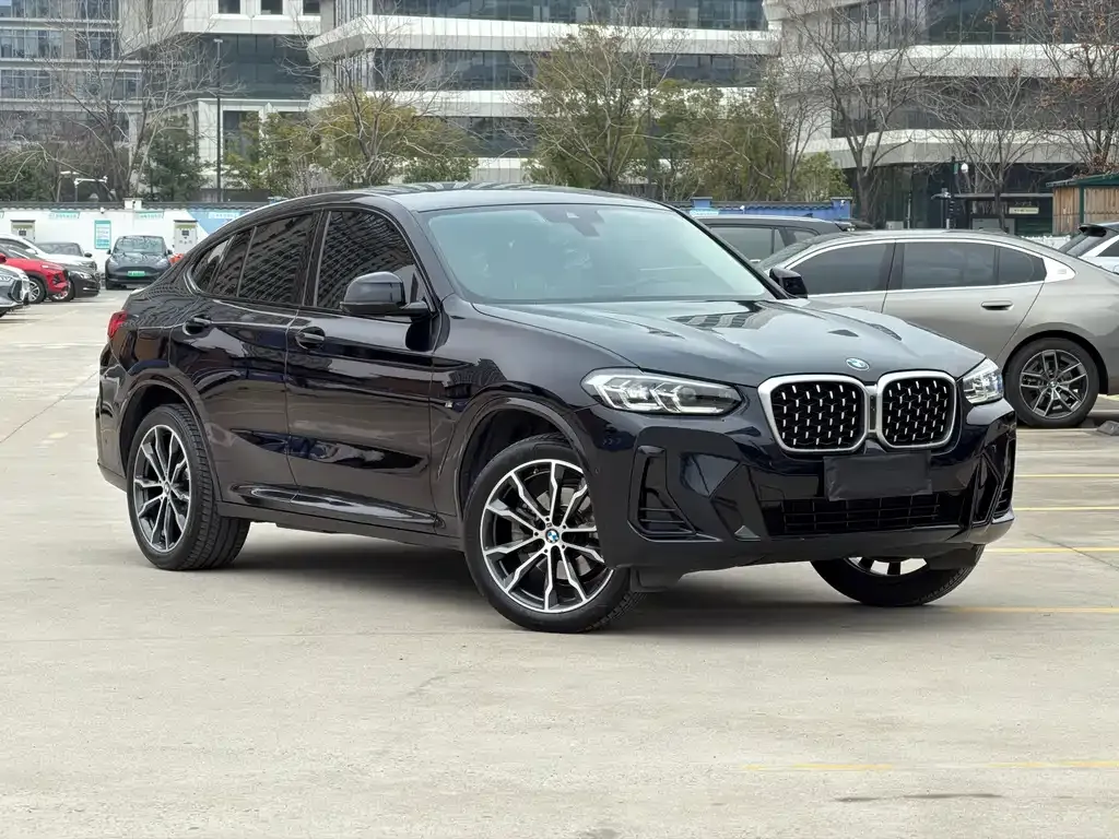 BMW X4 2024 из CN, фото 6