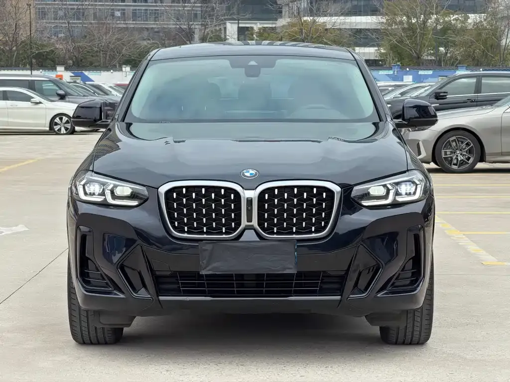 BMW X4 2024 из CN, фото 2