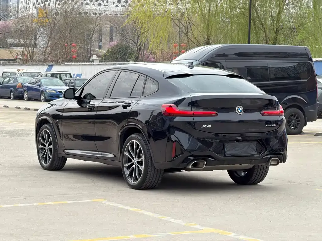 BMW X4 2024 из CN, фото 10