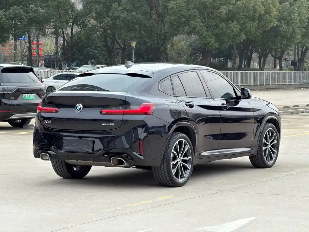 BMW X4 2024 из CN, фото 5