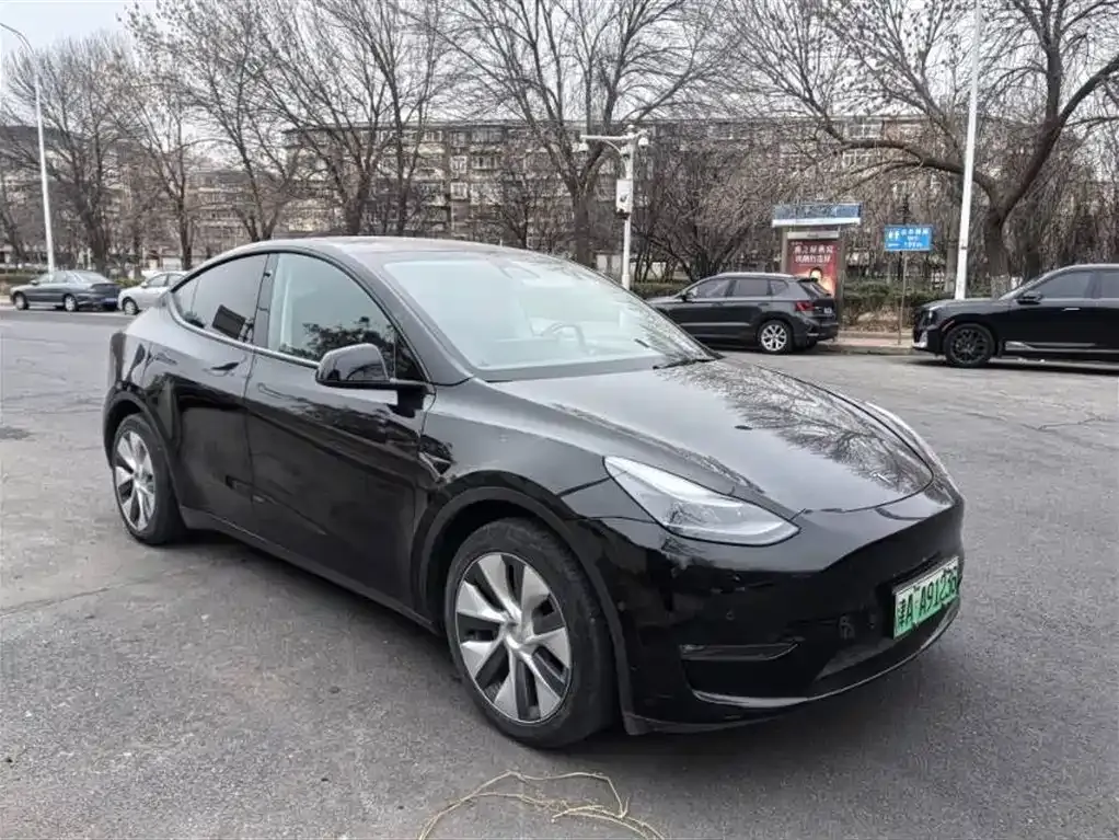 Tesla Model Y — фото 5