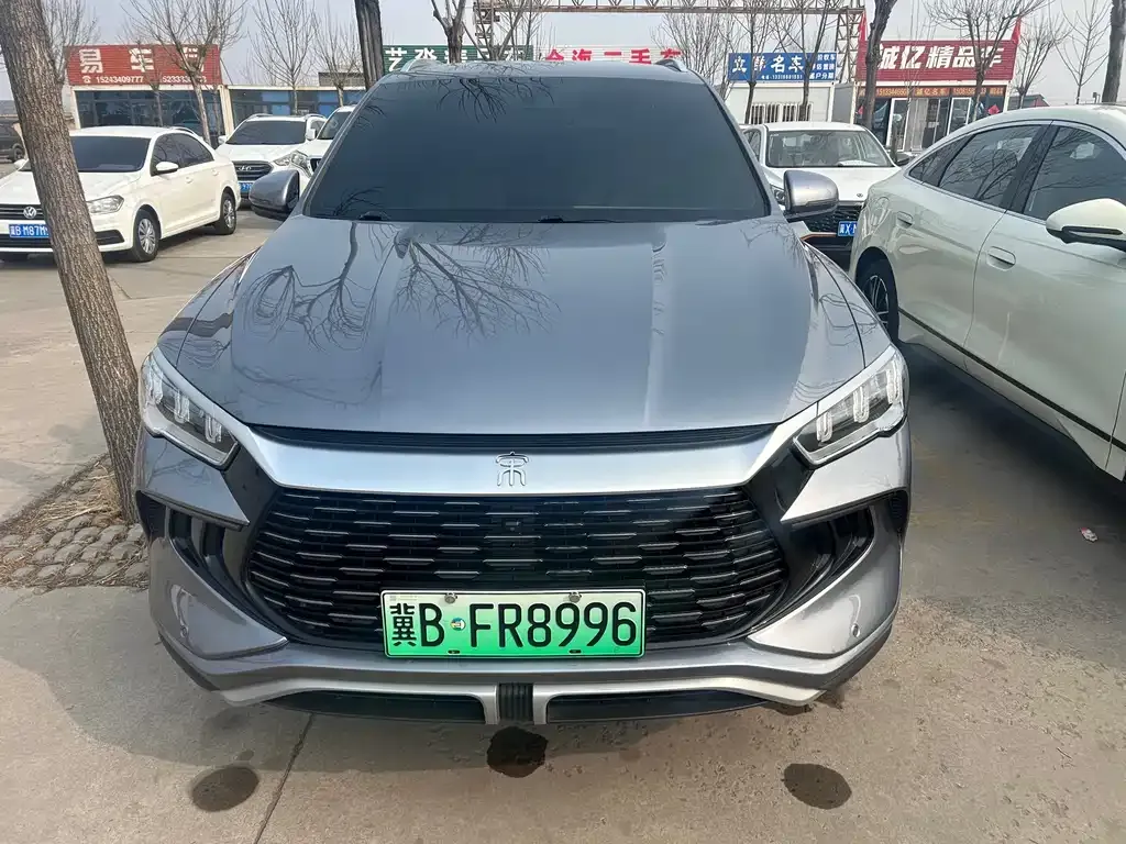 BYD Pro New Energy 2024 из CN, фото 6