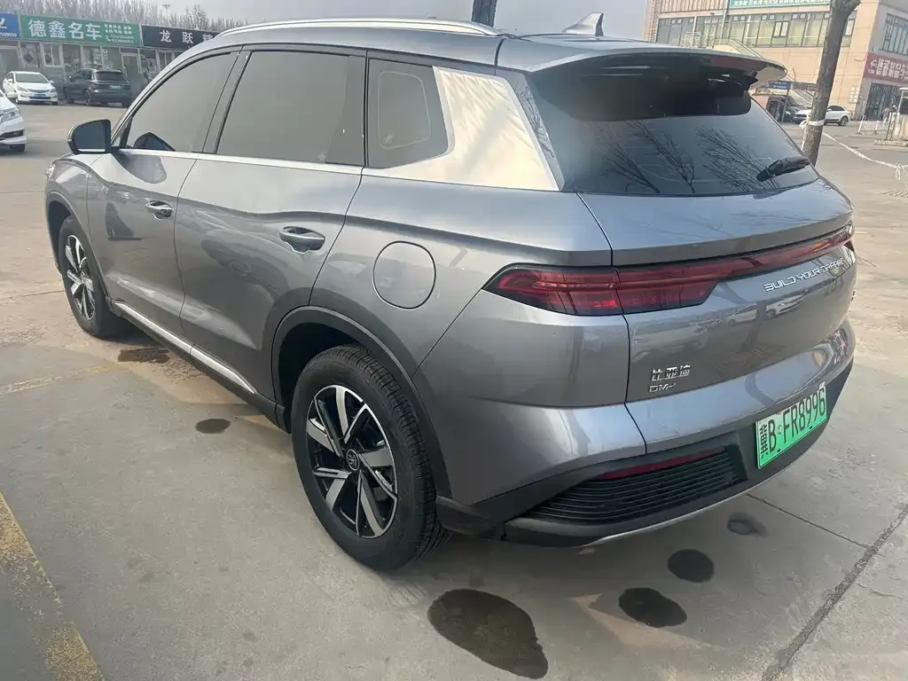 BYD Pro New Energy 2024 из CN, фото 7