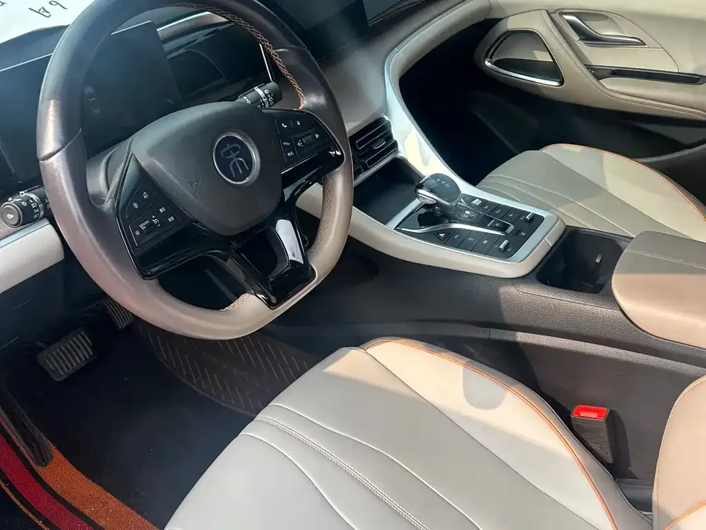 BYD Pro New Energy 2024 из CN, фото 2