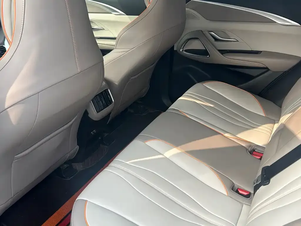 BYD Pro New Energy 2024 из CN, фото 3