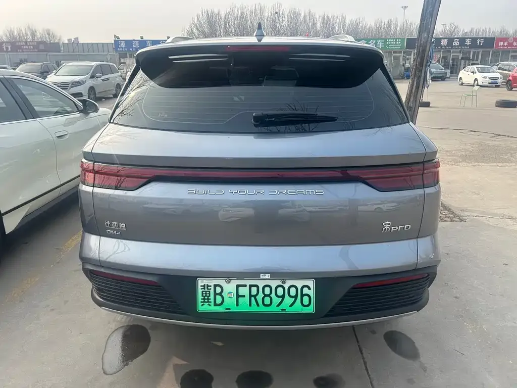 BYD Pro New Energy 2024 из CN, фото 4