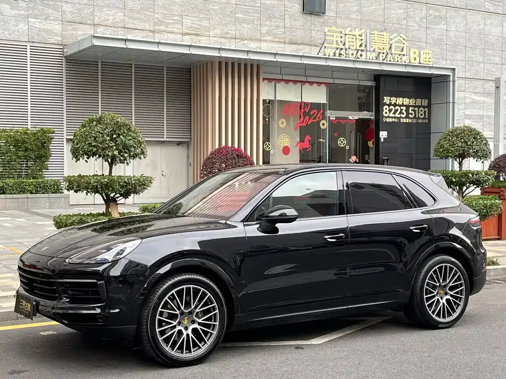 Porsche Cayenne — фото 10