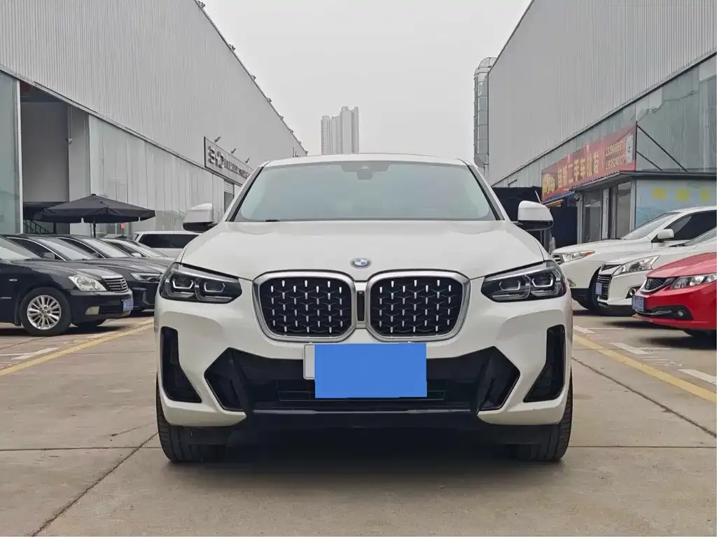 BMW X4 2022 из CN, фото 9