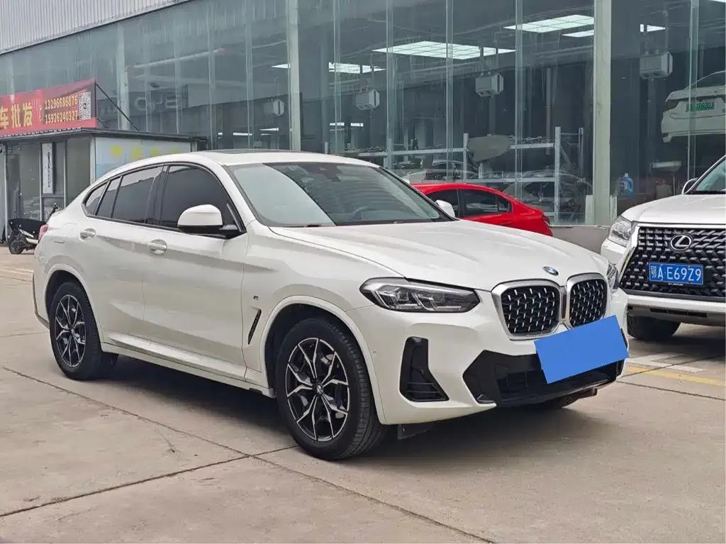 BMW X4 2022 из CN, фото 10