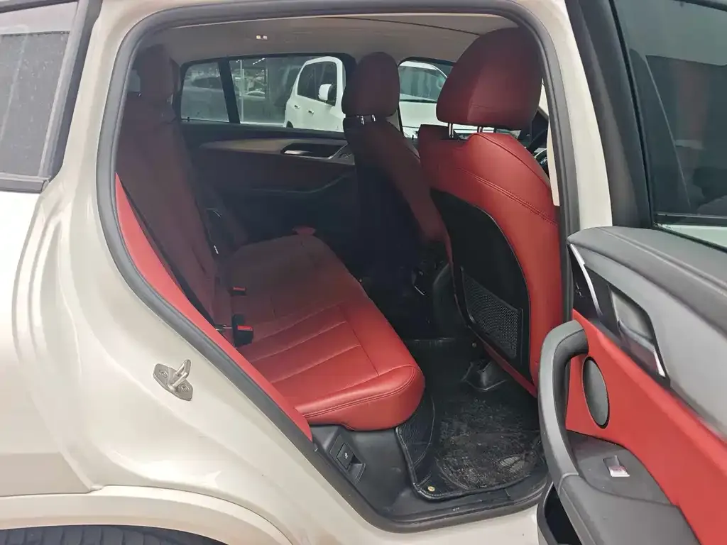 BMW X4 2022 из CN, фото 3