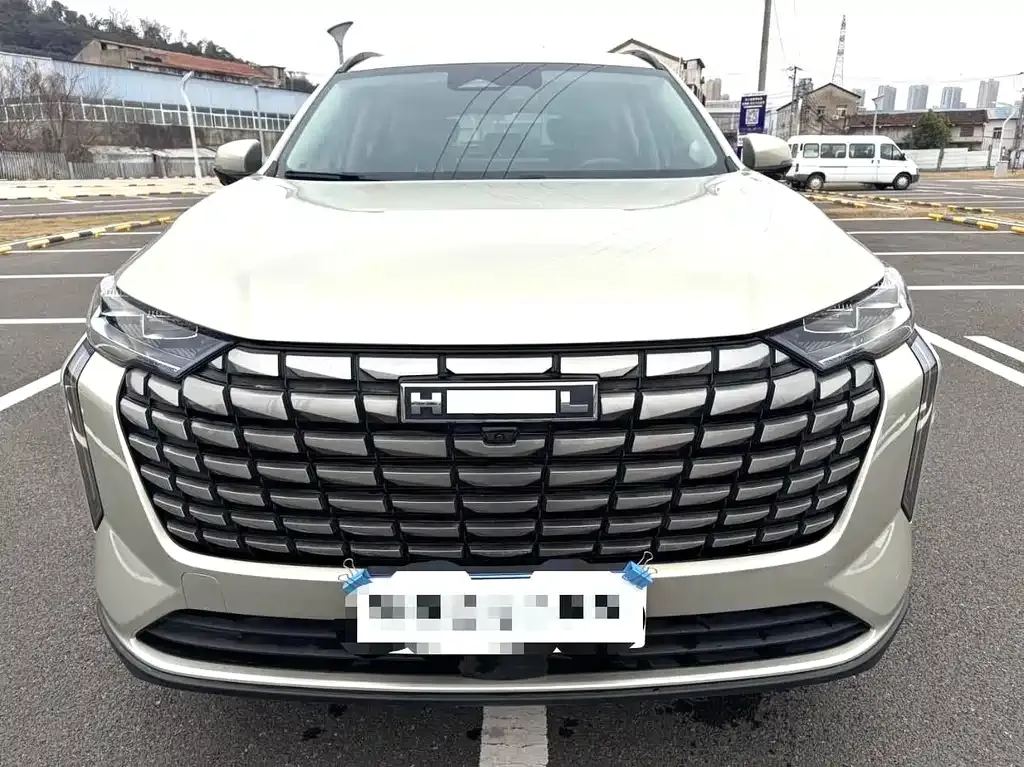 Haval H6 2024 из CN, фото 5