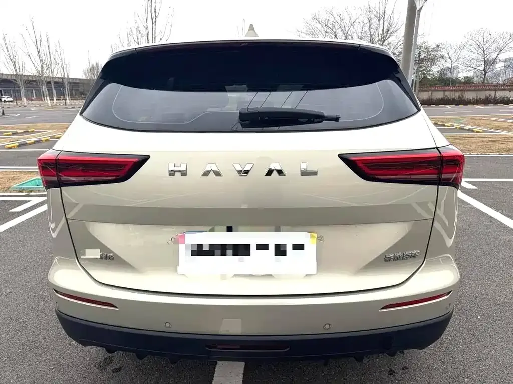 Haval H6 2024 из CN, фото 9