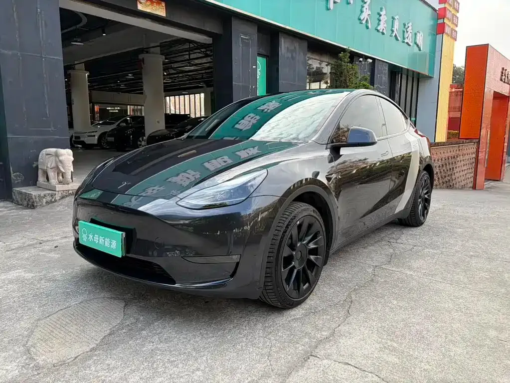 Tesla Model Y — фото 1