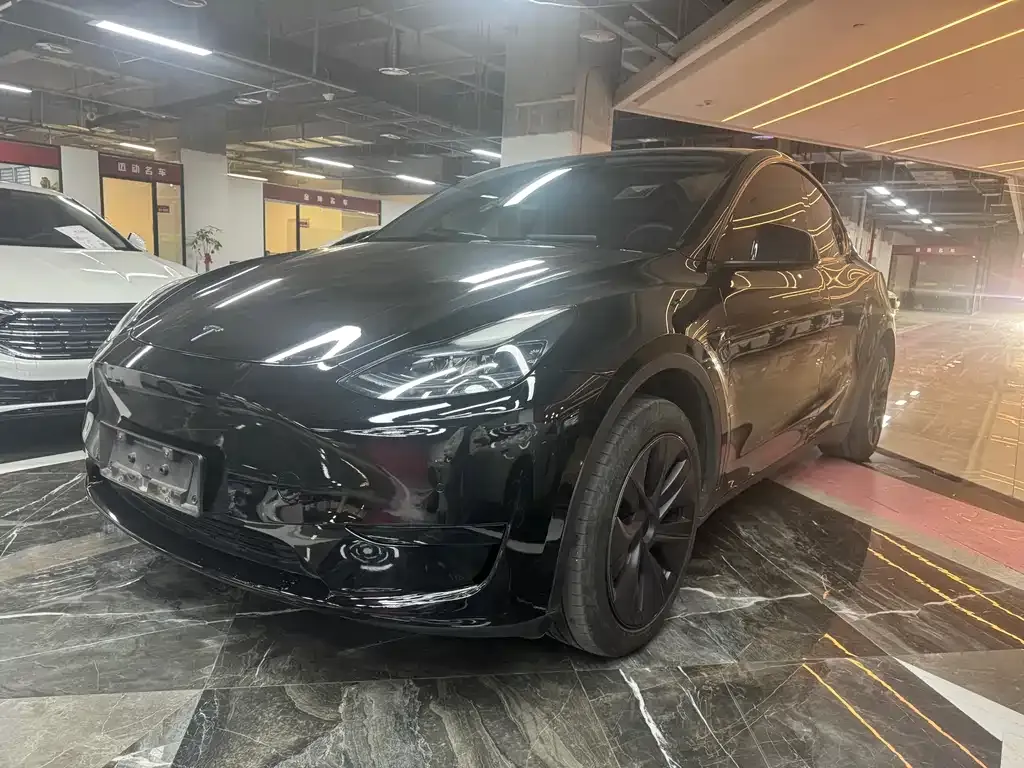 Tesla Model Y — фото 1