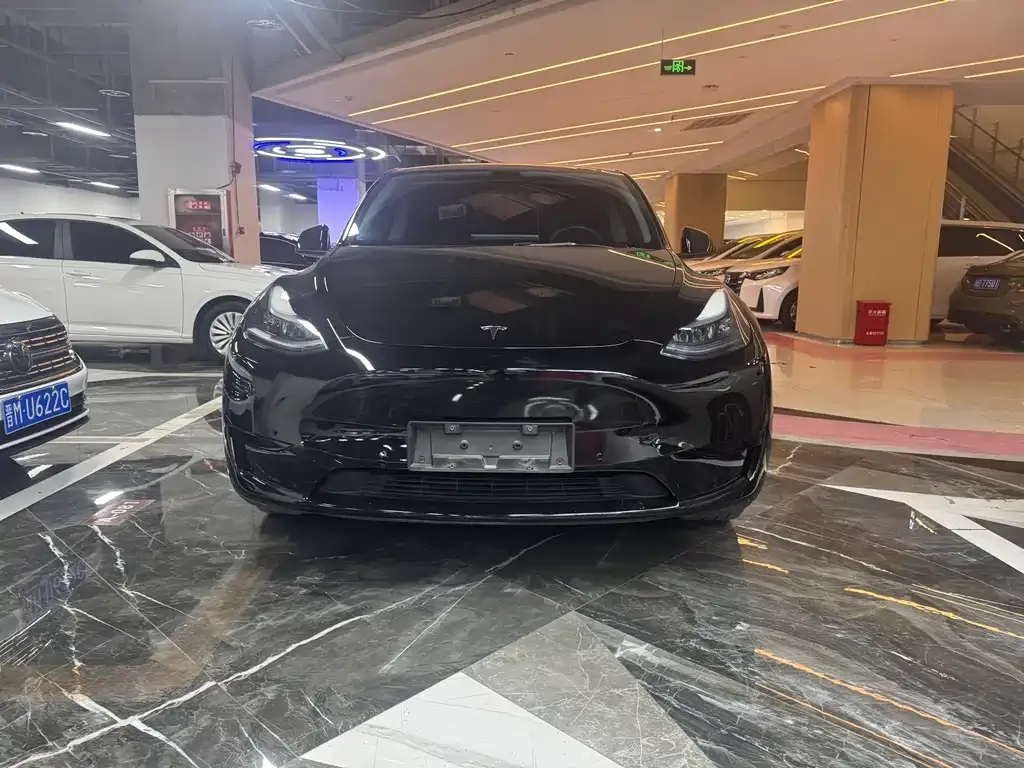 Tesla Model Y — фото 10