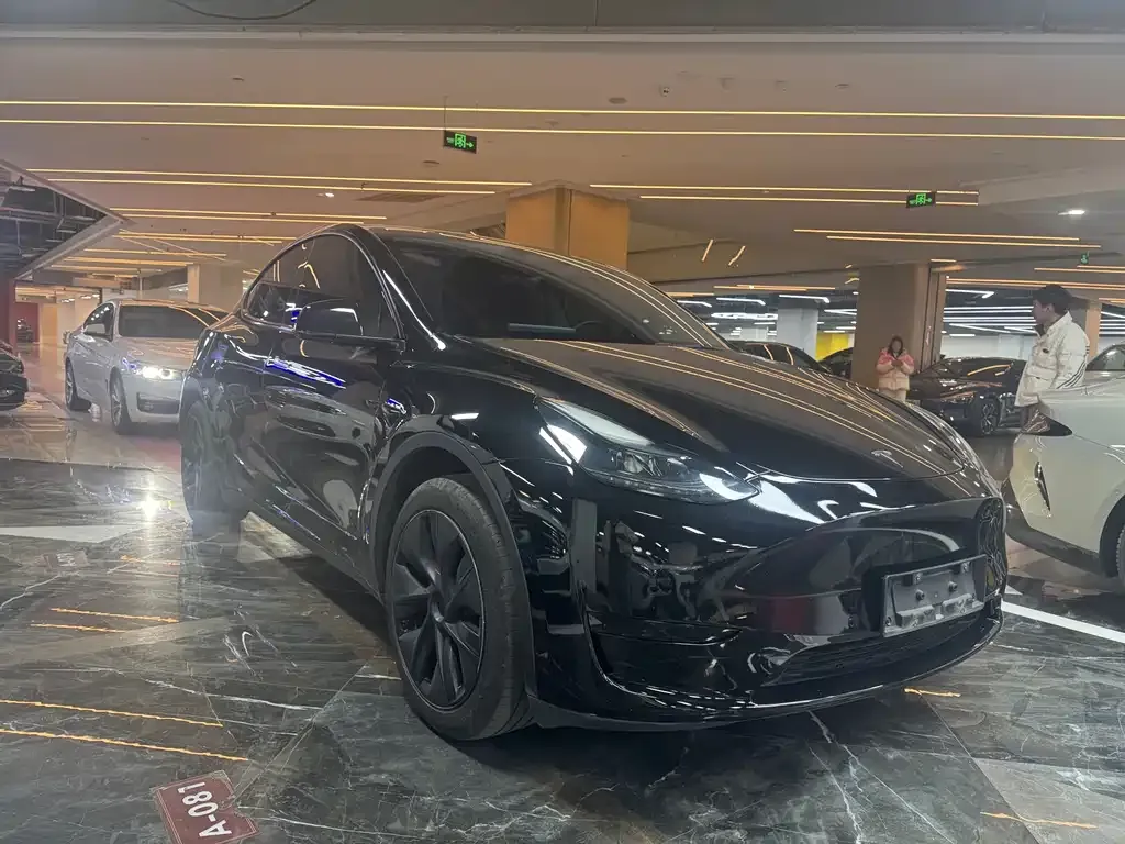 Tesla Model Y — фото 9