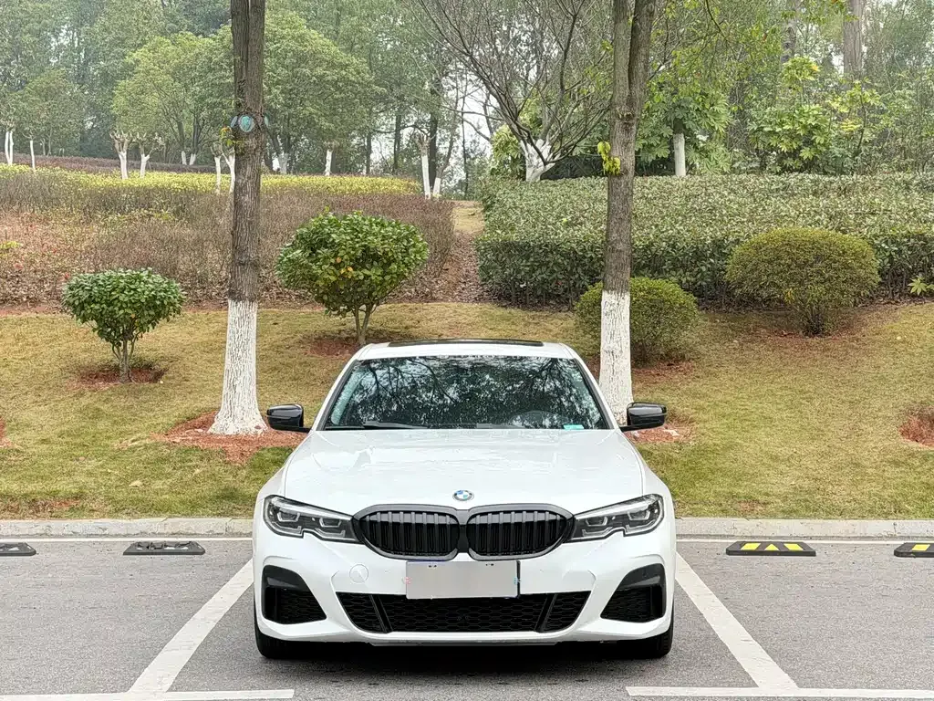 BMW 3 Series — фото 1