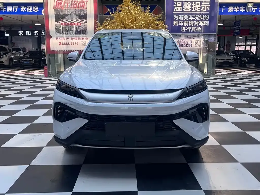 BYD Pro New Energy — фото 9