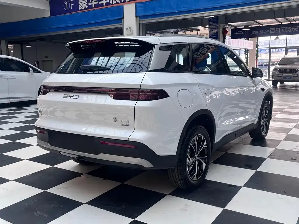 BYD Pro New Energy — фото 4