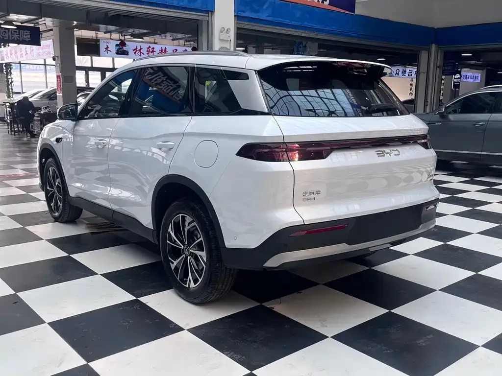 BYD Pro New Energy — фото 3