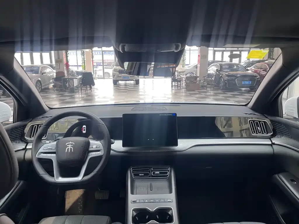 BYD Pro New Energy — фото 7