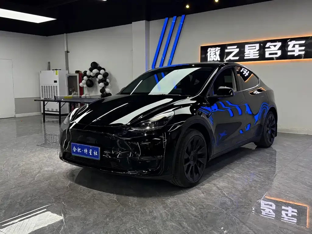 Tesla Model Y — фото 1