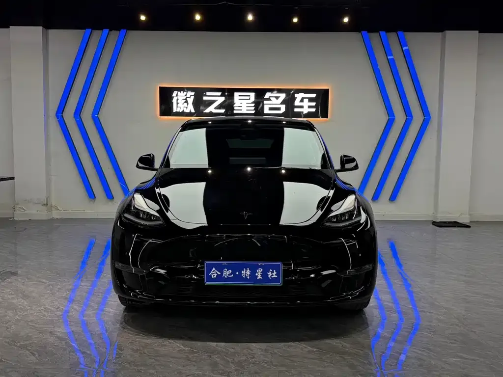 Tesla Model Y — фото 9