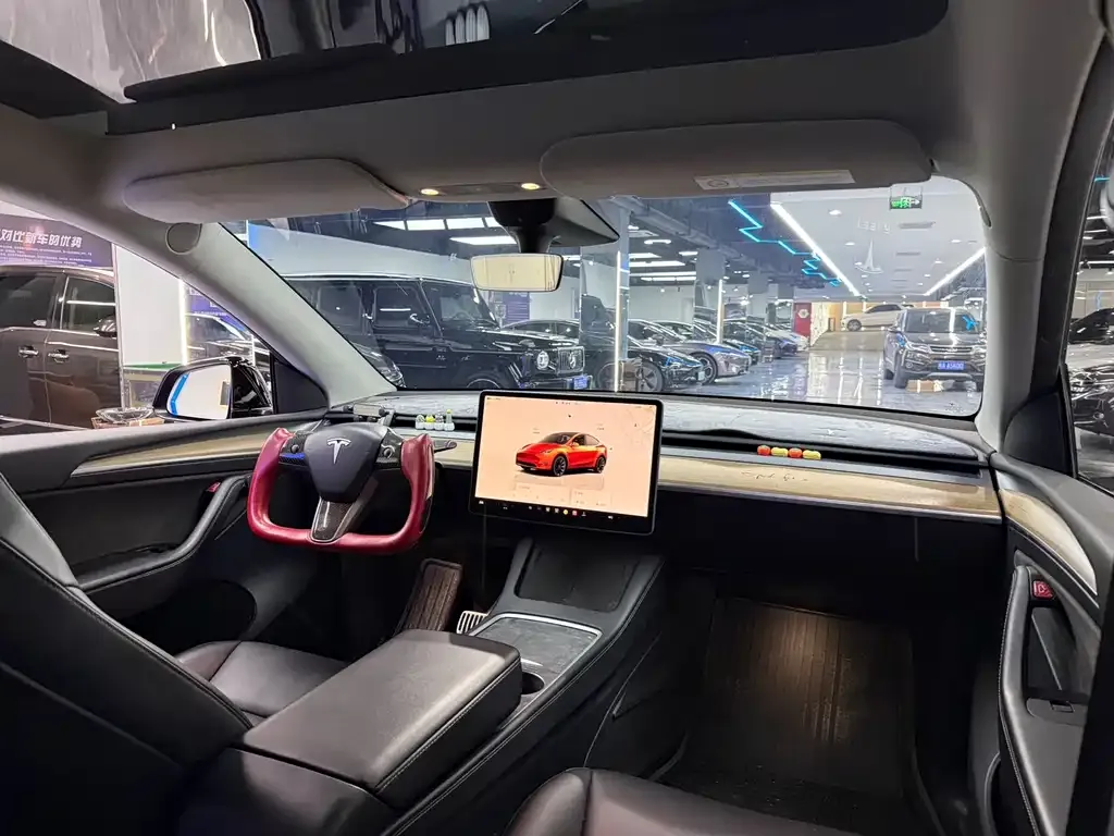 Tesla Model Y — фото 10